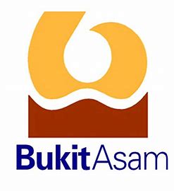 PT Bukit Asam